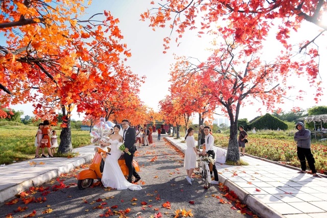 Ngỡ ngàng con đường lá đỏ lãng mạn tựa phim Hàn ở Hà Nội Ngỡ ngàng con đường lá đỏ lãng mạn tựa phim Hàn ở Hà Nội